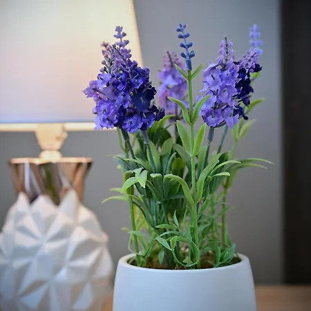 Apartman Trevilles Magdalenka