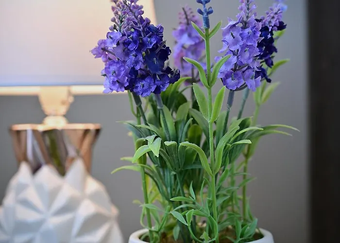 Apartment Trevilles Magdalenka